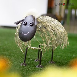 SHEEP_180627 (2)